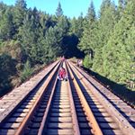 12558349_943711185714248_1452831503_a