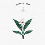 12357576_1067825363252252_1097749944_a