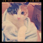 11385611_1482317448745380_410698208_a