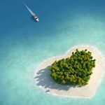 12556006_951579208263484_251176850_a