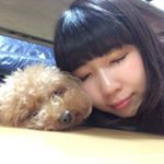 12547668_246469932351698_829481746_a