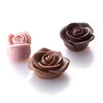 12407379_145072202538263_631090422_a