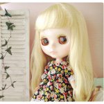 11374685_1600810470161603_640236571_a