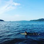 12558753_978342428904245_487435892_a