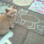 11241738_684624041644028_625542232_a