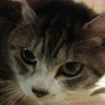 12317554_970897606317768_936560144_a