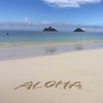 11848860_1470574859911266_1752969857_a