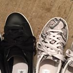 12331638_1581920938714053_1036798178_a