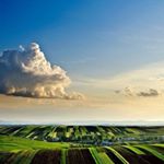 11909220_1690555654523744_1275945096_a