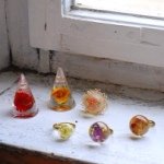 10311167_245290925662588_1149733654_a