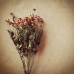 11258496_1577948722458478_1020006772_a