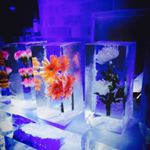 12093759_843528739094699_1344554796_a