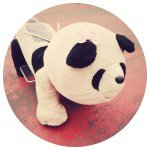 10865068_315738665289641_1445177892_a