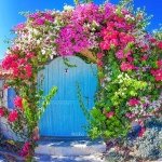 925320_1436991949916057_2051100588_a