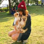 12545297_793780834084226_386013079_a