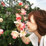 11378325_472318942932744_1314641754_a