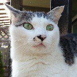 11335126_995643023802155_1825960544_a