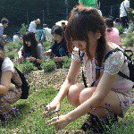 10903374_935250883175653_897153949_a