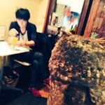 12393633_1488833528091612_309245075_a