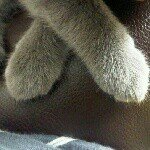 10362177_710215982371135_952393172_a