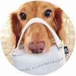 12353983_993226587407791_1516970447_a