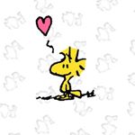 12407455_1663628437212758_856107403_a