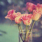 11101979_1587299114889092_1028934004_a