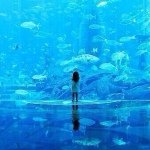 10354507_1427402454188806_626635298_a