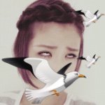 11226829_102835830050852_1246579874_a