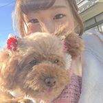 10731462_755428221256407_1297973687_a