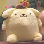 12545360_513283705509417_547587545_a