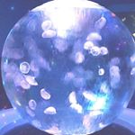 12383212_1546479869000273_1088647020_a