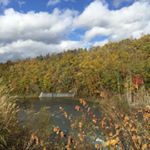 12345761_1187630614599653_1652348831_a