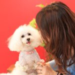 11917748_483173865178643_8804078_a