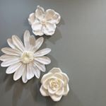 12269862_485492968307629_59516664_a