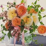 11856694_430527370475241_534449878_a