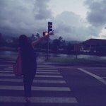 11380180_725471864263600_1955481298_a