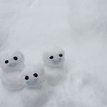 12530723_1699713423578974_2075619145_a