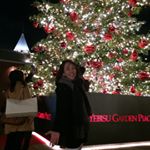 12277434_415878431944578_238326246_a