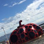 12139817_1718589228363229_1153086338_a