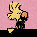 11274423_1396606074000162_1290799995_a