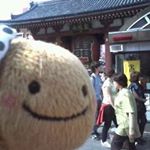 12224559_1667050103552367_1841135067_a