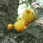 10514143_864061120289194_1668424189_a