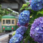 11137792_807983792588084_1103753811_a