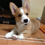 11419130_1634456566771362_1064900215_a