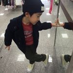 12424474_702059479951611_706744508_a