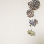 12142329_1615997551996469_552816523_a