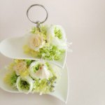 10950506_347661012093844_1112084365_a