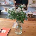 12093748_1028735067177584_1220262760_a