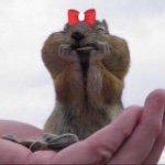 10963977_868366606552757_1872096378_a